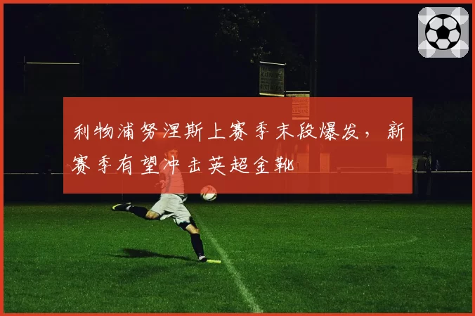 利物浦努涅斯上赛季末段爆发，新赛季有望冲击英超金靴