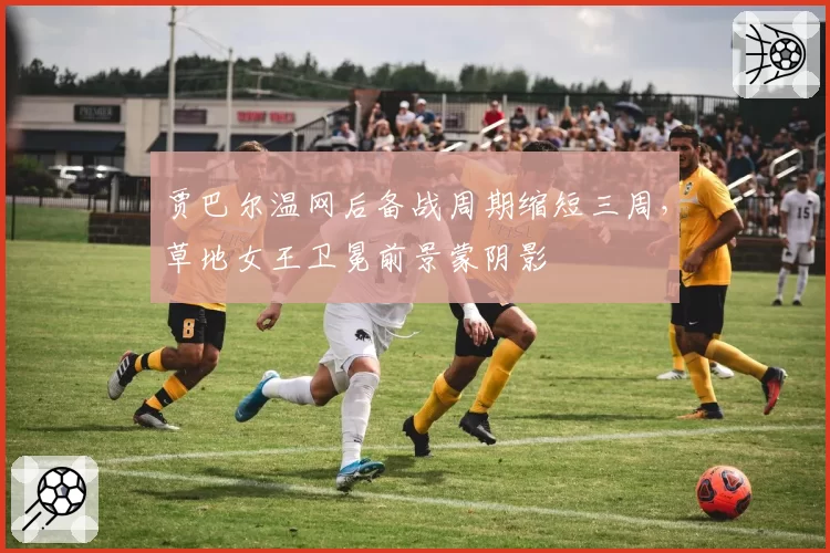 贾巴尔温网后备战周期缩短三周，草地女王卫冕前景蒙阴影